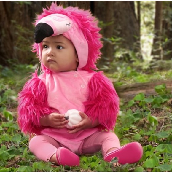 Pottery Barn Costumes Pottery Barn Flamingo Costume Poshmark